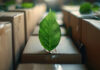 feuille d'arbre sur des cartons de livraison e-commerce, impact environnemental